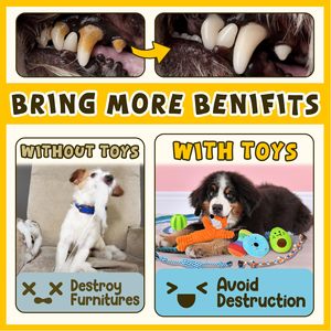 Ball and More Rope Dog Chew Toys <span class=keywords><strong>con</strong></span> lindos juguetes <span class=keywords><strong>para</strong></span> perros chirriantes Paquete de 9 juguetes de lujo <span class=keywords><strong>para</strong></span> la dentición <span class=keywords><strong>para</strong></span> cachorros de perros pequeños - Product Image 6