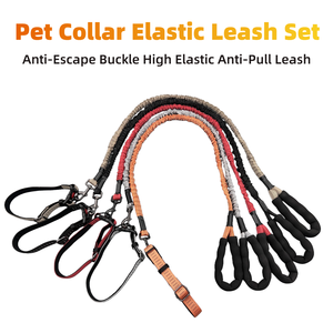 Haustierhalsband & 2,5 cm breites Halsband für mittelgroße und große Hunde mit 130–170 cm elastischer Leine, Anti-Zug-Set für den Spaziergang mit Haustieren für <span class=keywords><strong>Golden</strong></span> <span class=keywords><strong>Retriever</strong></span> - Product Image 2