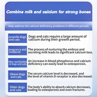 Comprimés de calcium au lait VitaFit pour chiens : absorption rapide, soutien sûr pour l'immunité et la santé des articulations, digestion sensible, complément de soins pour animaux de compagnie