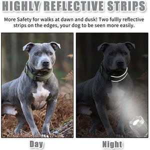 Custom Kleur Neopreen Martingaal Reflecterende Nylon Halsband - Product Image 5