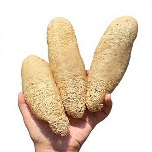 Vietnam Natural <b>Loofah</b> Sponge 100% Plant Fiber for Bath Scrubbing <b>Back</b> Washing Dish Cleaning Kitchen and Home Use - Product Image 2