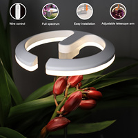 Lampu LED Ring Planter untuk Anggrek Bloom 4000K Hitam Kontrol Sentuh 10W Timer Terintegrasi Tinggi Dapat Disesuaikan Layanan OEM/ODM