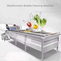 Machine de nettoyage automatique pour patate douce oignon tomate citron fraise-Air bulle fruits légumes Machine