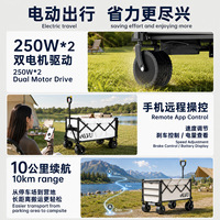 Véhicule de camping électrique pliable télécommandé en métal ; Remorque assistée tout-terrain ; Poussoir-tirette tout-en-un pour pique-nique et camping