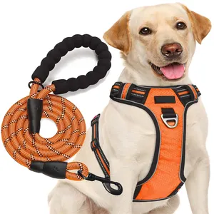 Manufacturers Custom Adjustable No Pull Dog Harness Set Custom Personalized Sublimation Dog Harness Designer Dog Harness