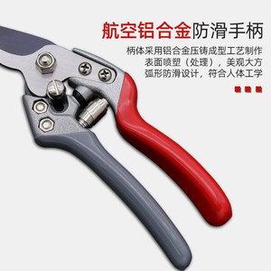 Nice <b>Pruning</b> Shears 6.5 In Stainless Steel Straight Head Garden <b>Tool</b> For Fruit <b>Trees</b> And Orchards - Product Image 4