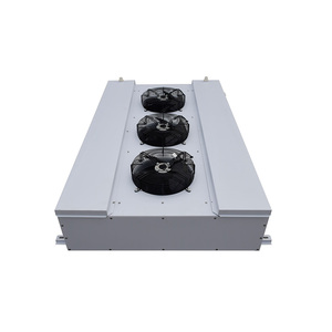 Unité de condensation pour refroidisseur d'air DD DJ DL, pour chambre froide de réfrigération, avec évaporateur, chauffage et dégivrage, pour la viande - Product Image 6