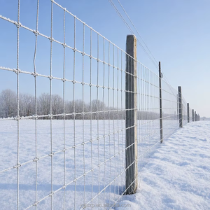 <span class=keywords><strong>Grillage</strong></span> métallique pour clôture de terrain agricole, clôture anti-rouille à nœuds fixes pour la protection des champs - Product Image 1