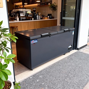 Congélateurs commerciaux et unités de réfrigération pour restaurants, congélateurs encastrables pour supermarchés, refroidissement par air -25°C, acier inoxydable - Product Image 1