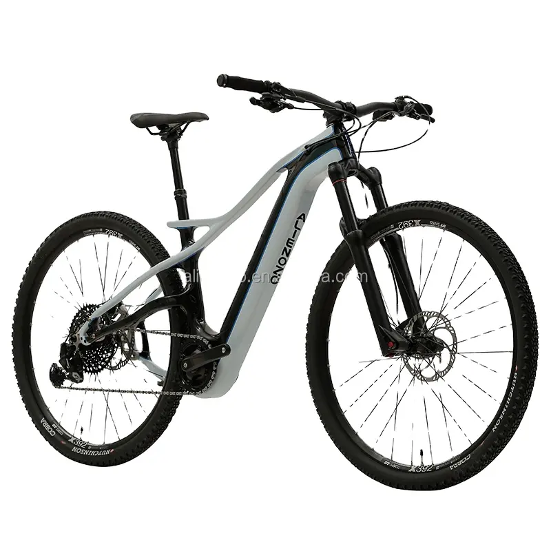 Carbon Fiber Warehouse 2024Hot Sale Mountainbike 250W Langstrecken-Elektromotor rad Fett reifen