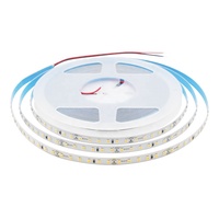 Bande lumineuse LED flexible en cuivre intelligente IP68 SMD2835 24V pour l'éclairage paysager avec télécommande