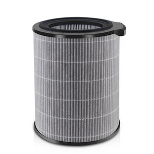 อะไหล่ไส้กรอง HEPA FY3430/30สำหรับ<span class=keywords><strong>เครื่อง</strong></span><span class=keywords><strong>ฟอก</strong></span><span class=keywords><strong>อากาศ</strong></span> <span class=keywords><strong>Philips</strong></span> ซีรีส์3000 AC3033/10 AC3036/10 - Product Image 1