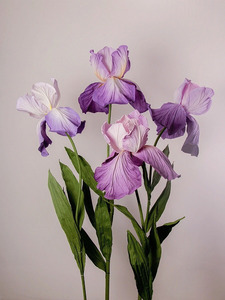 L-029 Maßgefertigte Handgemachte Riesige Organza-Papier-Irisblume für Hochzeitsdekoration Hintergründe Event-Ausstellungsdekoration - Product Image 5