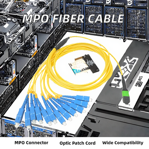 FTTH Mạng trung tâm dữ liệu <span class=keywords><strong>MPO</strong></span> fanout <span class=keywords><strong>Patchcord</strong></span> <span class=keywords><strong>SM</strong></span> mm OM3 12c SC LC để <span class=keywords><strong>MPO</strong></span>/MTP sợi quang Breakout cáp cho Wi-Fi - Product Image 3