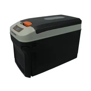 10L 22L 35L DC 12V car fridge Cooler portable AC/DC Powered Thermoelectric System Cooler and Warmer for Cars