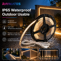 Bande lumineuse COB flexible à haute luminosité pour intérieur et extérieur, AC220V, étanche, en silicone extrudé, bande LED COB