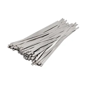 4.6x200MM 201material Factory provide customized size self locking heavy duty stainless steel zip cable tie
