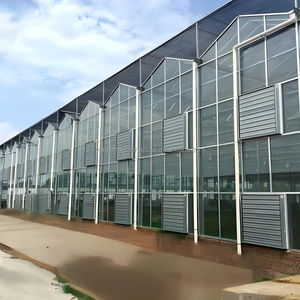 <span class=keywords><strong>Serre</strong></span> en verre automatisée pour l'agriculture verticale, <span class=keywords><strong>serre</strong></span> de plantation à haute densité avec système de convoyeur - Product Image 2