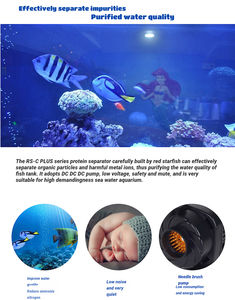 Rode Zee Ster RS-C1plus Aquarium Met Eiwitafschuimer - Product Image 2