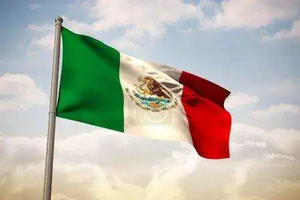 Gahumi Barato de alta calidad nacional mexicano 3X5 o elección de tamaño personalizado para volar o sostener la bandera mexicana - Product Image 6