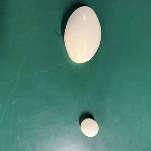 Funda para Sonda de Ultrasonido en Venta, Funda para Sonda Convexa, Sonda Abdominal 4D, Funda para Sonda de TV, Funda para Sonda de Volumen - Product Image 1