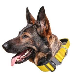 टॉपमित्र प्रीमियम मोटी प्रशिक्षण कुत्ते कॉलर के साथ हैंडल पालतू कॉलर - Product Image 1