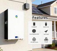 Penyimpanan Energi Rumah Tangga 51.2v900ah, Dapat Dipasang di Dinding dengan Koneksi Bluetooth, Daya Tahan Baterai Lama, Harga Pabrik