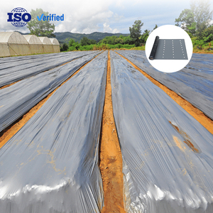 قولبة النفخ الفضية والأسود والحفاظ على نبات الخضروات الدافئ للزراعة - Product Image 1