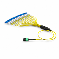Cordon de brassage fibre optique MTP MPO 24 fibres, MTP vers MTP, MTP vers LC, G657, Monomode OM3, Multimode