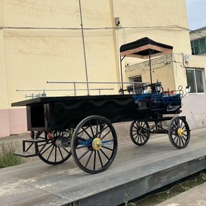 Venta Directa de Fábrica, Limusinas Clásicas Negras, Elegantes Coches Fúnebres, Carro Fúnebre Vintage en Venta - Product Image 3