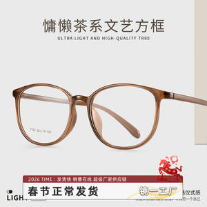 Montures de lunettes coréennes TR90 7124, monture carrée intégrale, légères, unisexe, en plastique, marron tendance, origine Danyang - Product Image 5