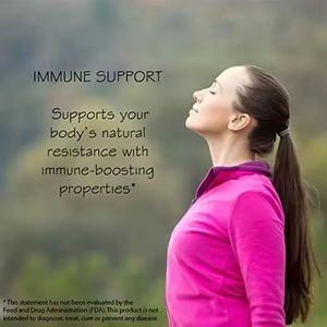 WELLBODY OEM/ODM private label fábrica fornecimento Halal natural orgânico Ginkgo Biloba Suplemento Extrato Ginko Biloba Cápsulas - Product Image 3