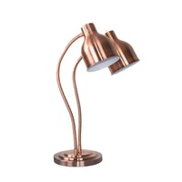 Lampe chauffante pour buffet pour usage hôtelier, pour l'affichage de pizzas et le chauffage de barbecue, chauffe-plats électrique pour buffet