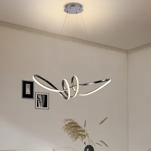 HUIQI Factory Suppliers Circle Indoor Luxury Ceiling Chandelier Home Fixture Hanging Pendant Lights LED