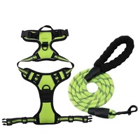 Laisse Classique Amovible pour Chiens de Grande et Moyenne Taille en Polyester avec Conception Poitrine-Dos, Cheveux Droits, 5m
