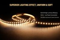 Bande LED 24V ultra-mince 8mm 128 LED/m, double extrémité, découpable, contrôle tactile, CRI 90, garantie 3 ans