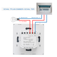 Interrupteur variateur Tuya standard UE, panneau en verre trempé, variateur intelligent vocal Graffiti 110V 240V