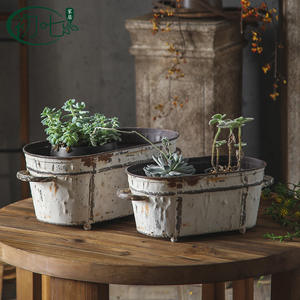Ensemble de pots à fleurs en fer vieilli pour la décoration de la maison et du jardin, style européen, avec plantes succulentes - Product Image 5