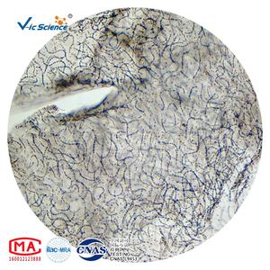 شرائح ميكروسكوب جاهزة، شرائح بيولوجية جاهزة للميكروسكوب، مجموعة شرائح ميكروسكوب لعلم الفطرات والميكروبيولوجيا - Product Image 1