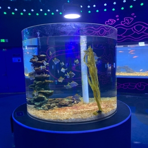 Aquarium en Acrylique Grand Diamètre, Cylindre Géant pour Poissons et Grands Bacs à Poissons - Product Image 1