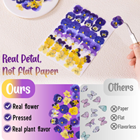 Fleurs de primula pressées faites à la main, multicolores, pétales de viola séchés pour la décoration de gâteaux à la crème, fleurs pressées DIY pour la décoration.