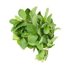 High Quality Food-Grade Mint Leaf Herbal <strong>Extract</strong> Cut Pieces with Excellent Packaging in Drum Bulk Supply Available for Wholesale - Product Image 4