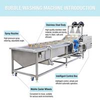 Automatische fruitwasser met oranje citroen groente transportband, luchtbel waterwasmachine, CE-certificering