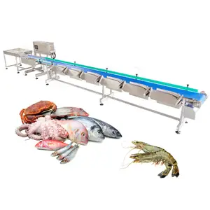 New Type Avocado Citrus Cassava Processing Sorting Fish Anchovy Check Weigher Conveyor Belt Type Weight Grading Machine
