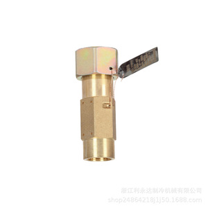 วาล์วนิรภัยทองเหลืองแบบสปริงยี่ห้อ Liyongda แบบเกลียวสำหรับใช้ในระบบทำความเย็น - Product Image 1