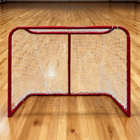 Venta al por mayor de fábrica, portería de hockey sobre hielo desmontable duradera, deportes al aire libre, ejercicio, entrenamiento, práctica, portería de hockey terrestre neta
