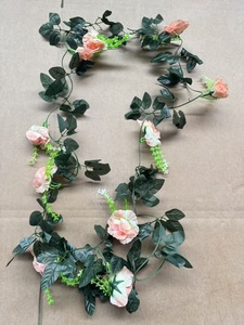 <span class=keywords><strong>Et</strong></span> Chèvrefeuille Formation Suspendus Champagne Himalaya un Pays Jaune Cherokee Arbor Rambling Seven New Rose with Vine - Product Image 5