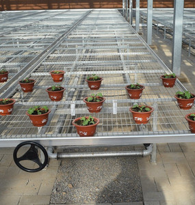 平纹移动温室花卉栽培架苗圃焊接网丝网滚动台 - Product Image 1