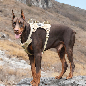Arnés de Lujo Ajustable para Perro de Poliéster - Personalizado y Adaptable para Paseos, Senderismo y Entrenamiento |   Diseño sin tirantes - Product Image 3