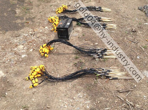 Équipement d'investigation de la résistivité électrique géophysique 2D/3D, système ERT à vendre - Product Image 4